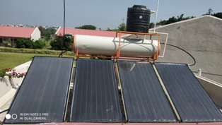 Plants: image 20 0f 21 thumb